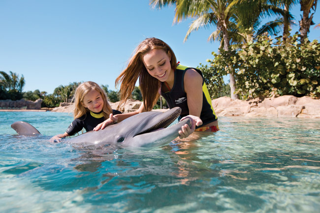 Guests can hug, kiss, and swim with dolphins during the Dolphin Swim Experience.