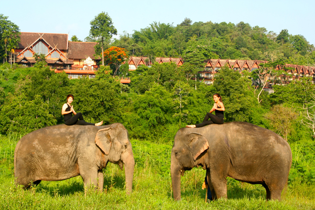 Anantara Golden Triangle Elephant Camp & Resort Where Wellness Meets Nature holistic program includes activities such as elephant yoga. 