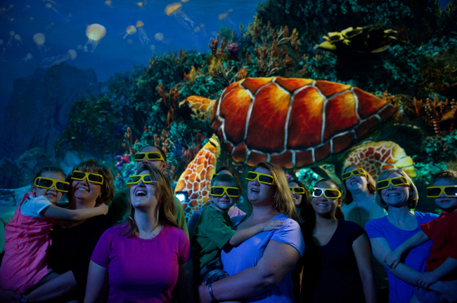 Guests enjoying the TurtleTrek movie at SeaWorld Orlando.