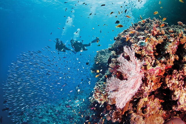 Silversea Expeditions' Scuba Diving Expedition Voyages take place in top diving sites, including Australia's Great Barrier Reef. (Photo credit: Tourism and Events Queensland)