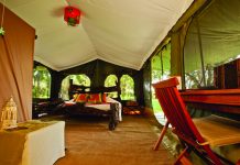 African Travel Inc. has a Kenya trip that includes a stay at Sala’s Camp in Maasai Mara.