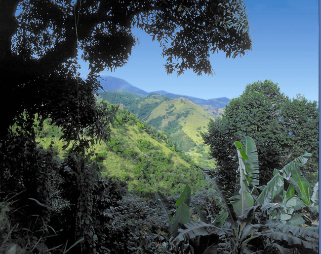 Mountains in Jamaica. (Photo credit: Ed Wetschler)