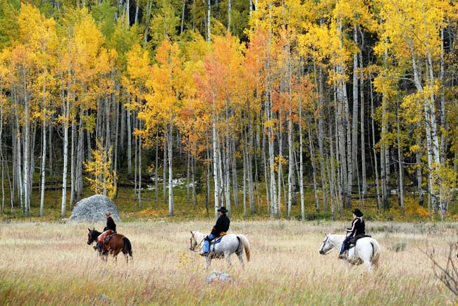 Vista Verde Guest Ranch's all-inclusive rates include guided activities such as horseback riding. 