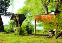 Elephant sighting at Chongwe River Camp in Zambia is on the INCA itinerary.
