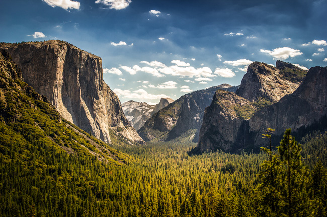 Amtrak Vacations has an itinerary that includes a visit to Yosemite.