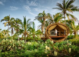 The eco-conscious Treehouse accommodations at Playa Viva.