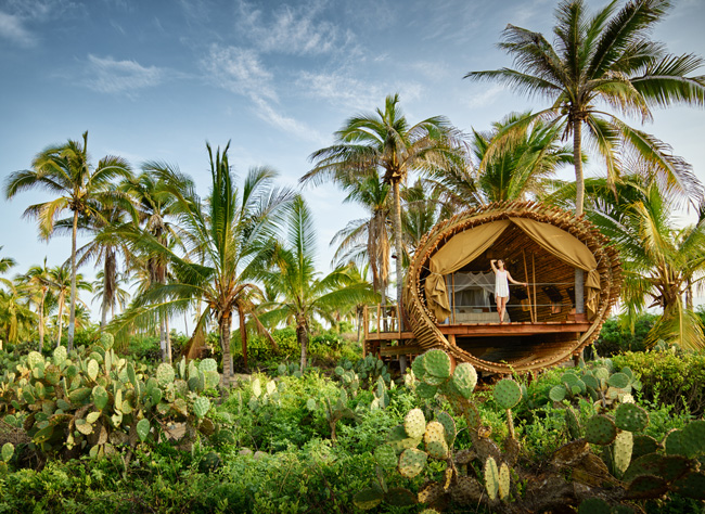 The Best of All Worlds The eco-conscious Treehouse accommodations at Playa Viva.