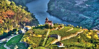The Douro River Valley in Portugal. 