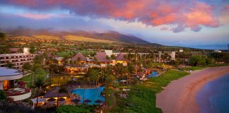 Apple Vacations is offering two complimentary tickets for a whale-watching cruise at participating resorts in Maui and Oahu. (Photo credit: photo credit is Apple Vacations)