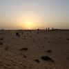 Everyone scrambles for the best seat in the house when the sun sets in Dubai’s desert.