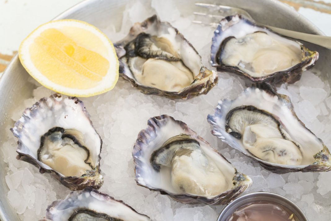 There are many ways for visitors to get their oyster fix in Auckland, New Zealand.