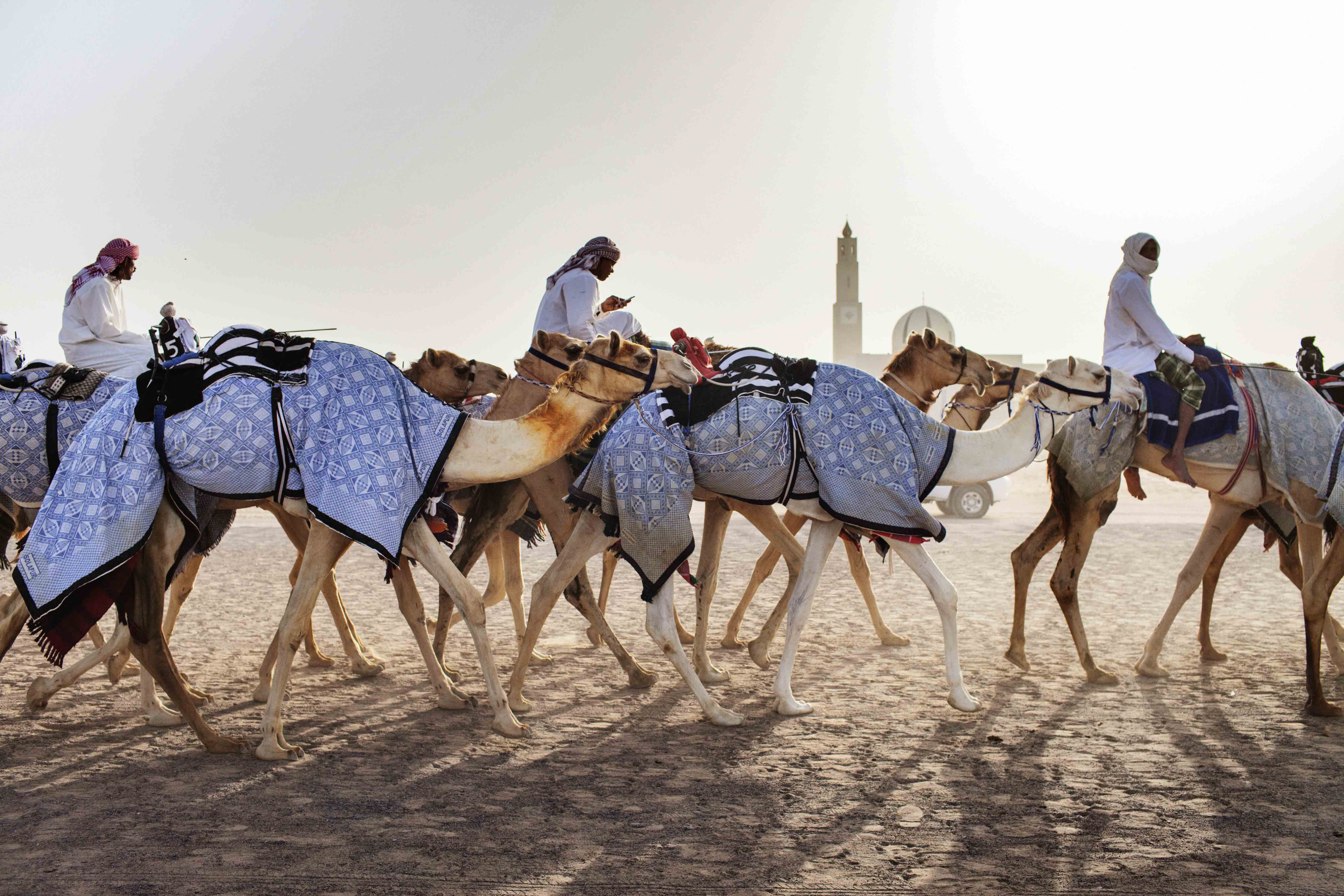 Visitors to Dubai will have the opportunity to ride camels. 