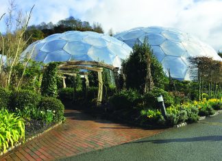 Eden Project in Cornwall. (Michelle Arean)