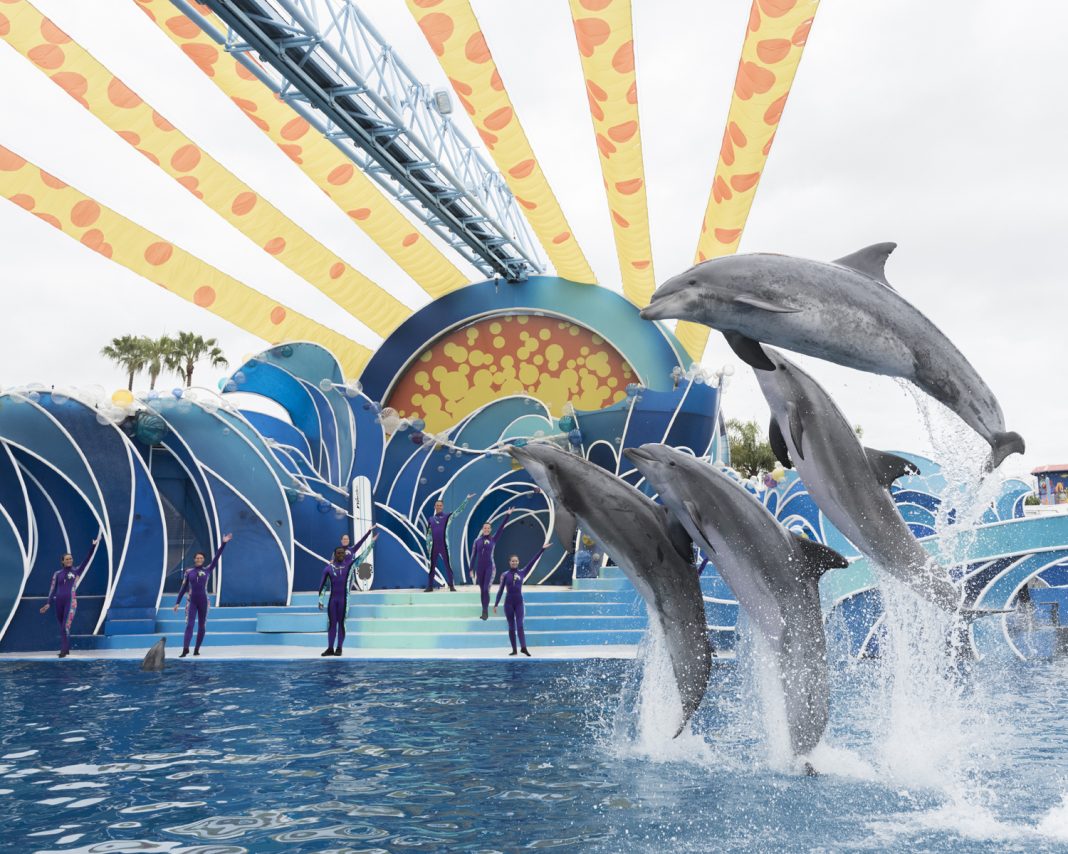 SeaWorld Orlando is launching a new Dolphin Days show.