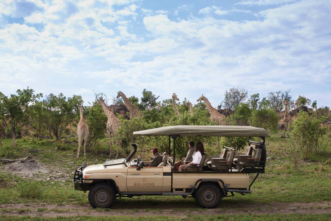 Belmond is offering a 6-night itinerary in Botswana hosted by Alexander McCall Smith, author of the popular The No. 1 Ladies’ Detective Agency book series. (Photo credit: Belmond)