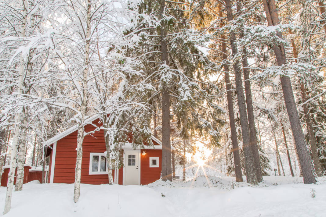 Pure Lapland's new all-inclusive Loggers Lodge located in the middle of a boreal forest.
