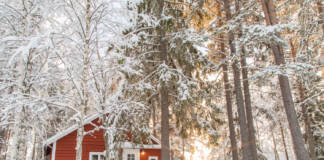 Pure Lapland's new all-inclusive Loggers Lodge located in the middle of a boreal forest.