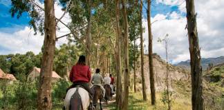 Belmond Las Casitas can arrange horseback riding excursions for guests in Colca Canyon.