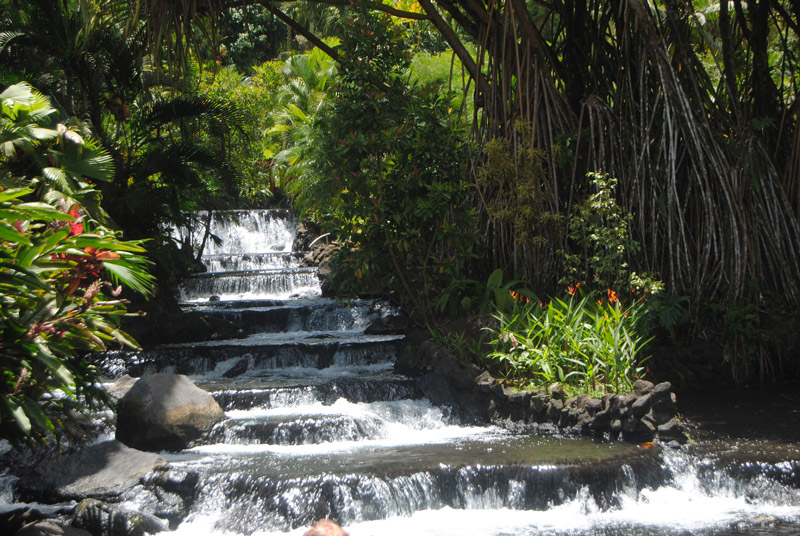 In Costa Rica,your clients can find a variety of wellness offerings.