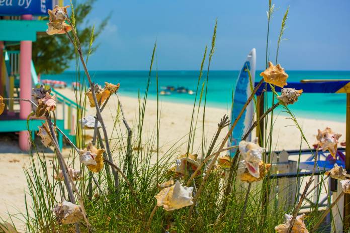 Carnival Cruise Line has signed an agreement with the Bahamian government for the construction of a new cruise port facility. (Photo credit: Bahamas Ministry of Tourism) Carnival Cruise Line has signed an agreement with the Bahamian government for the construction of a new cruise port facility. (Photo credit: Bahamas Ministry of Tourism)