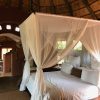 Leshiba’s thatched-roof chalets are a dream for honeymooners, with private plunge pools and balconies overlooking the bush.