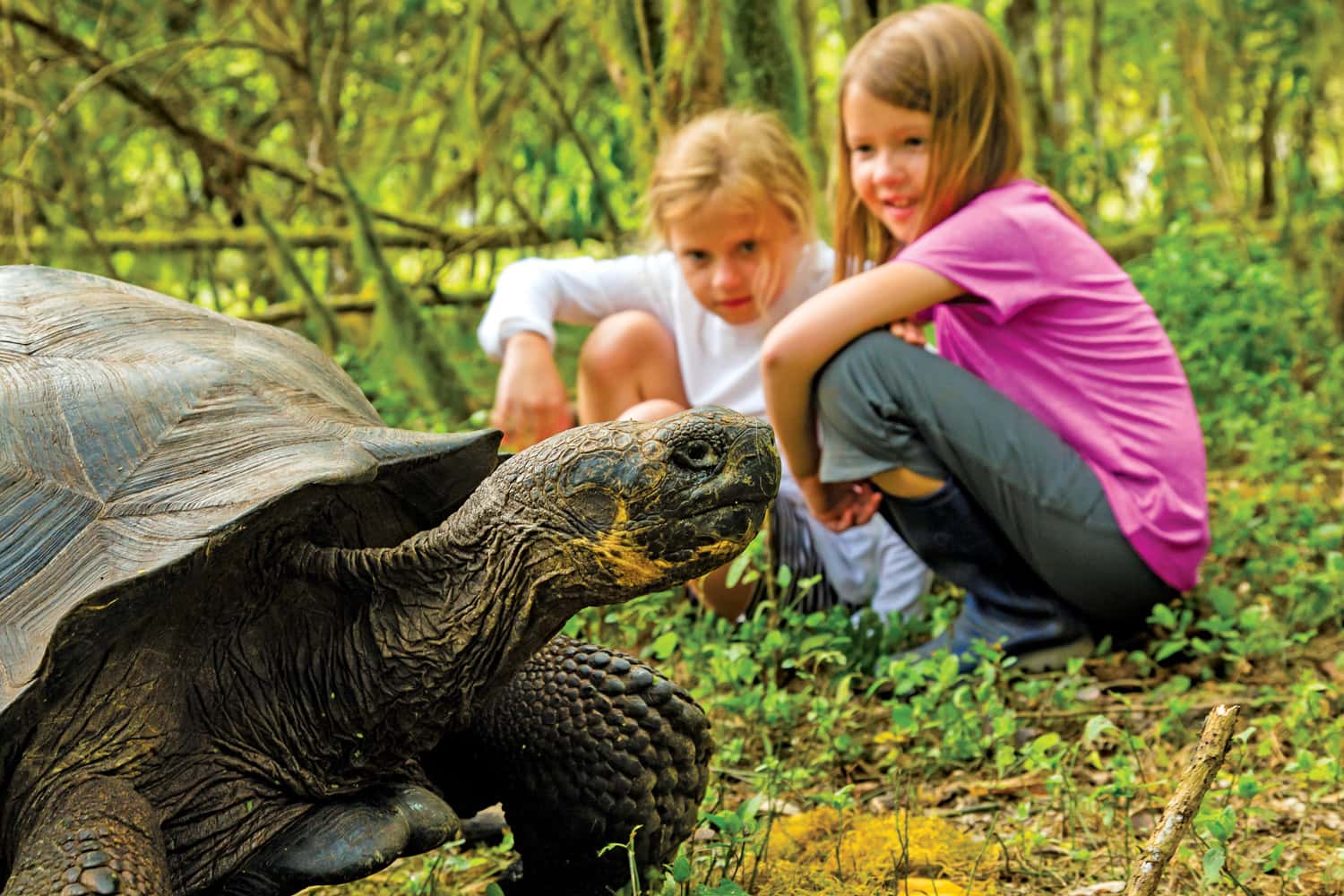 Lindblad Expeditions-National Geographic is celebrating 50 years of exploring the Galapagos with the launch of the National Geographic Global Explorers program.
