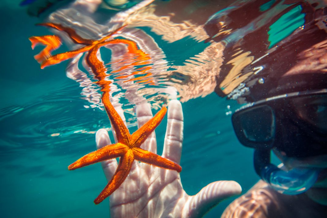 G Adventures’ Summer Escape Sale include the 8-day Sailing Croatia: Dubrovnik to Split tour where guests can snorkel. (Photo credit: G Adventures, Inc.)