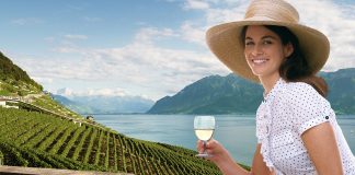 Kamapeque Tours & Travel is offering 18 percent commission on its 2018 escorted tours, including the 10-day Adventures in Switzerland train tour.