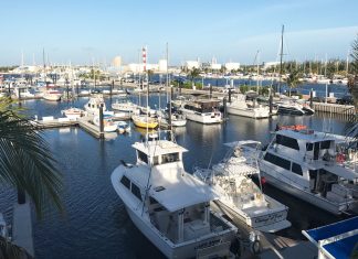 Guests staying at The Perry Hotel Key West have access to the onsite Stock Island Marina, which makes it easy to enjoy a plethora of water activities.