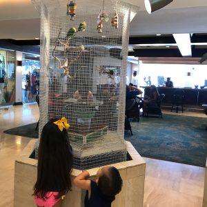 My niece and nephew enjoying the big cages in the lobby.