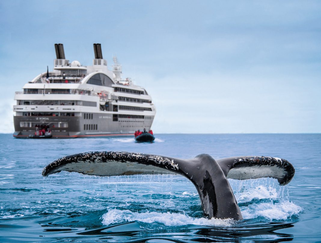 Ponant is offering up to 30 percent off select Arctic expeditions in 2019. (Photo credit: Ponant/Lorraine Turc)