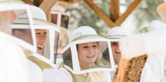 Guests at Ojai Valley Inn & Spa can play beekeeper for the day with this new hands on experience
