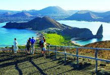 Celebrity Cruises’ Galapagos voyages are ideal for a multi-gen vacation.