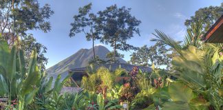 Costa Rica's Arenal Volcano peeks out through the trees at Nayara Springs.