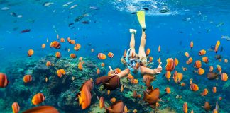Snorkeling in Hawaii is one of many adventures your clients can enjoy at a discount with Exodus Travels.