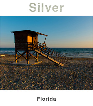Florida Silver