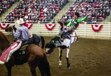 The Calgary Stampede is one of the city’s most unique experiences. (Destination Canada)