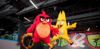 The popular online game, Angry Birds, is now the theme of an entertainment park in Qatar.