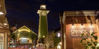 Disney Springs features over 130 establishments for guests to explore including shops and restaurants.
