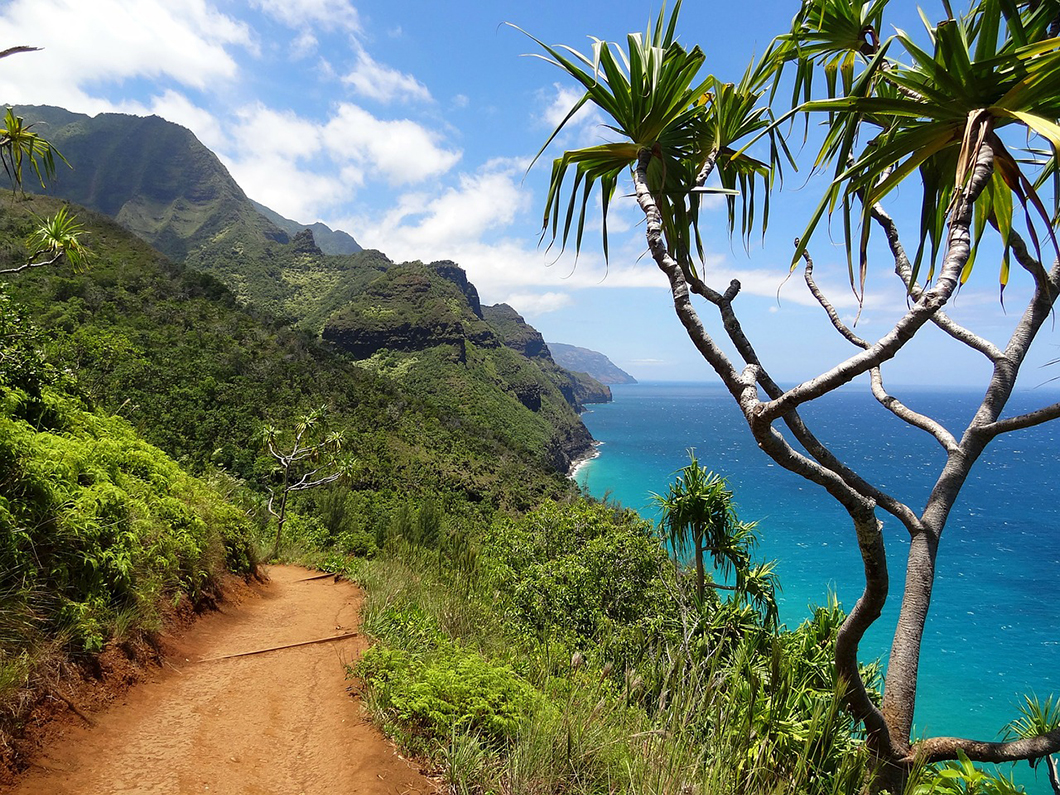 Southwest Vacations Hawaii sale.