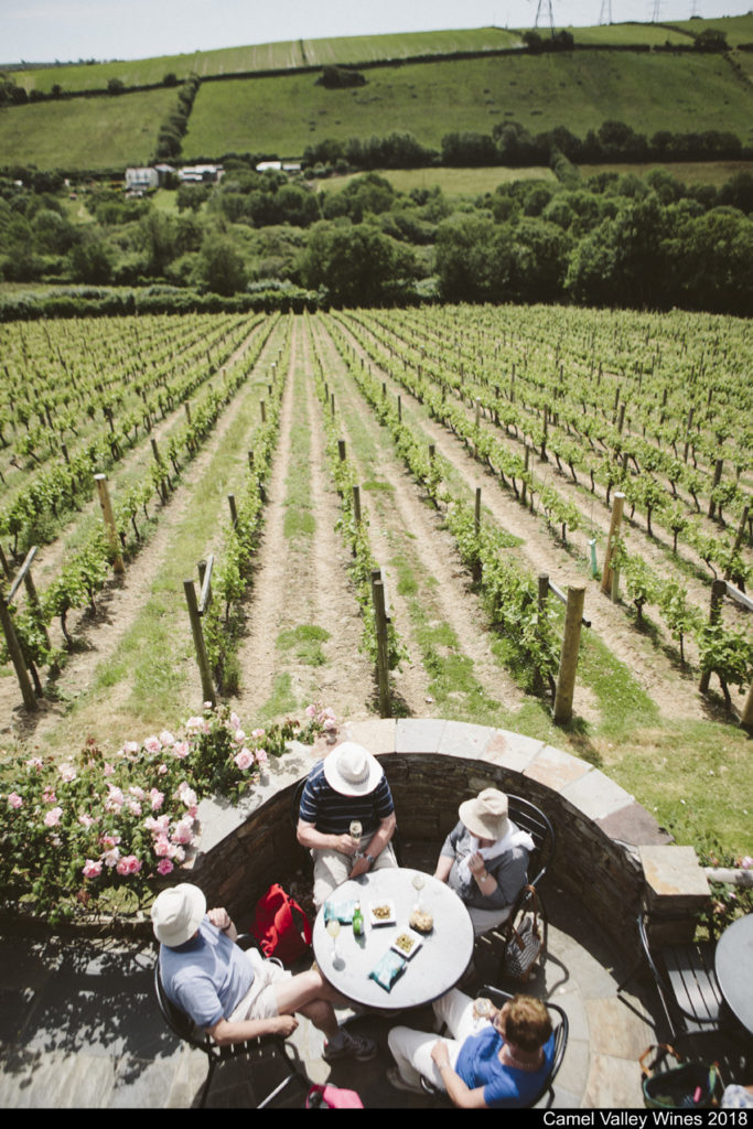 Visit Britain's Wine Region - Recommend