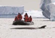 Antarctica by Silversea / Silver Endeavour