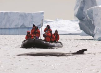 Antarctica by Silversea / Silver Endeavour