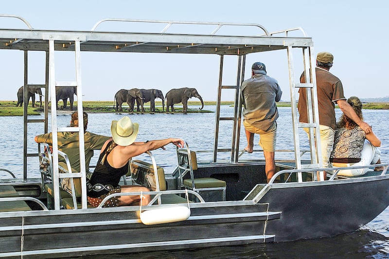 Viewing game in Africa with AmaWaterways.