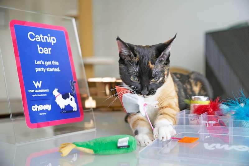 Pet-Friendly Pawses Around the Country Pet-Friendly Pawses Around the Country