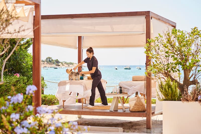 Pet-Friendly Getaways Redefine Travel