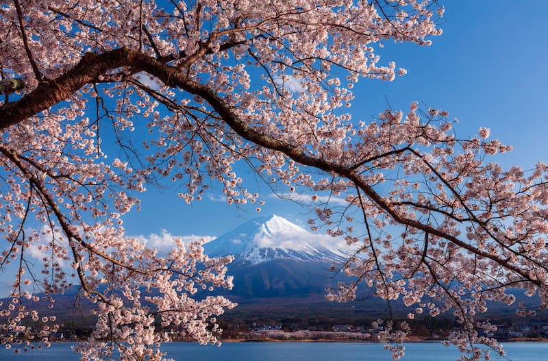 japan
